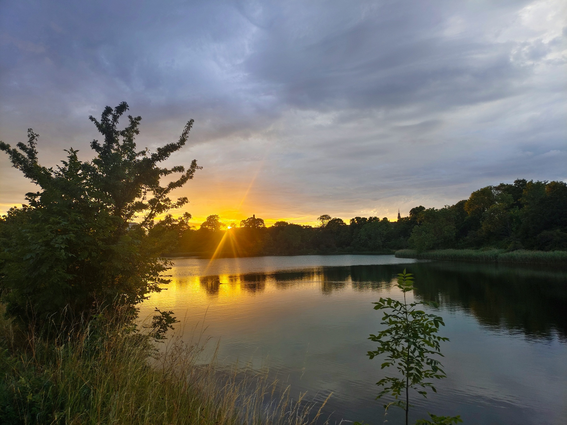 Nordisk natur i morgendis - ro og retning